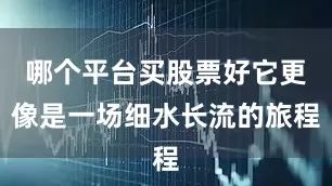 哪个平台买股票好它更像是一场细水长流的旅程